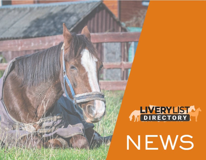 Rising Strangles Cases in the UK Raise Biosecurity Concerns Amid Equine Flu Outbreaks