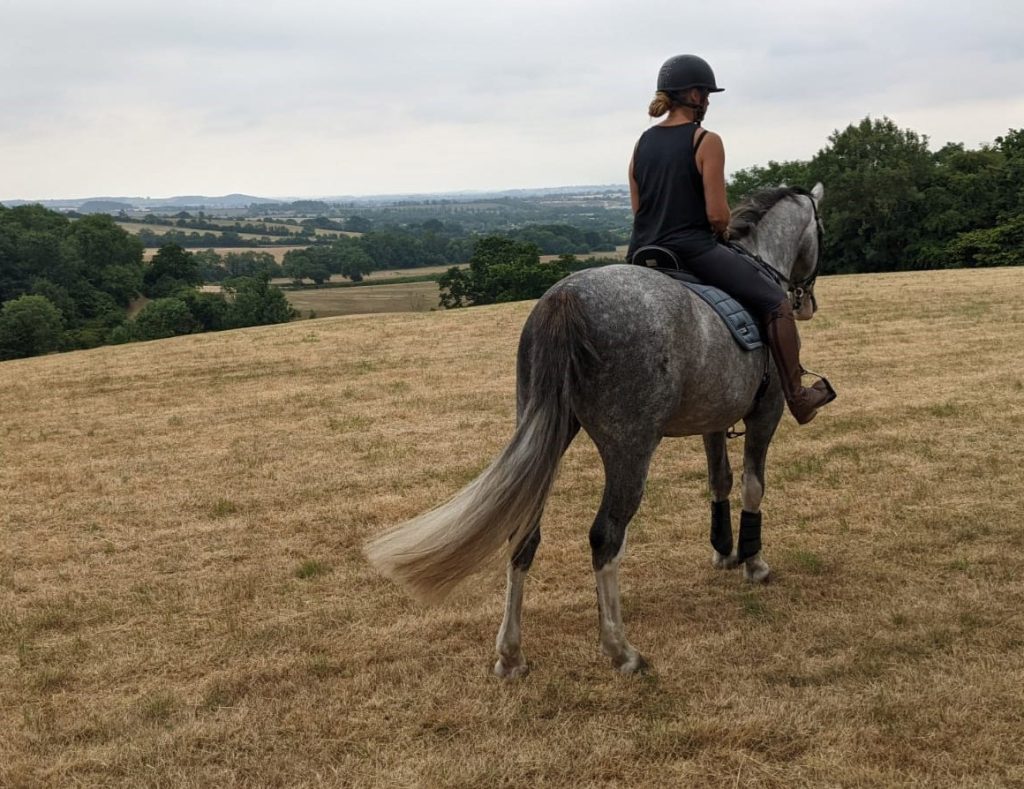 Park Farm Stables