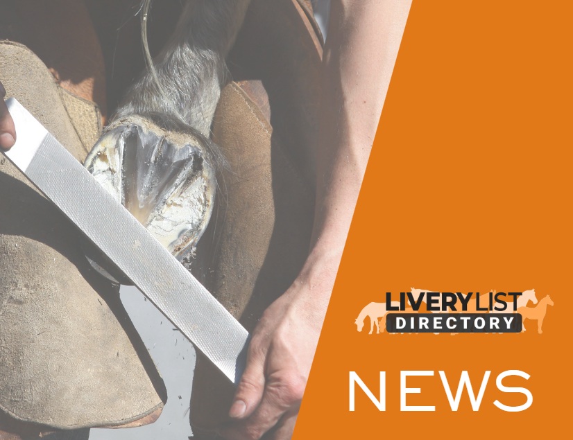 Farrier Week 2026: Celebrating the Skilled Professionals Keeping Horses Sound