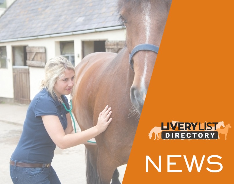 New DEFRA Veterinary Reforms: What Could the Future Changes Mean for Horse Owners and Yard Owners?