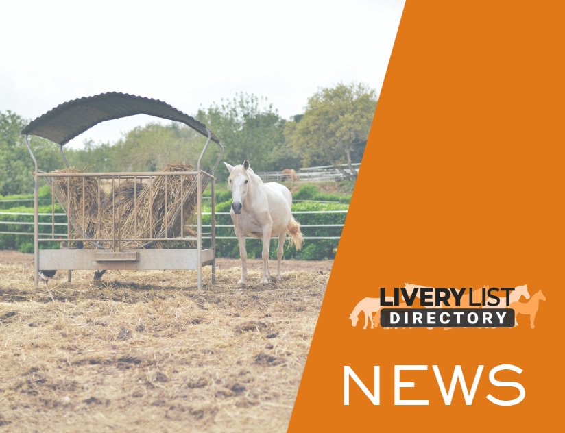 What British Equestrian’s New Welfare Action Plan Means for Livery Yard Owners