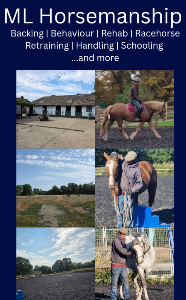 ML Horsemanship
