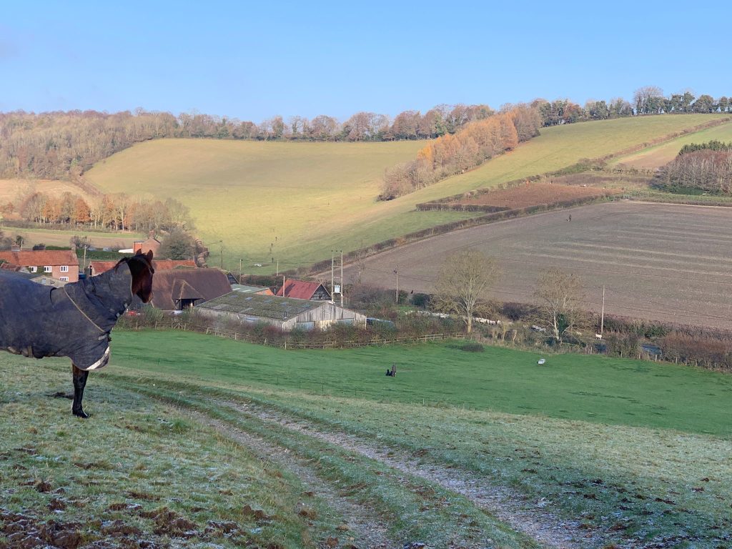 Valley Farm DIY Grass Livery