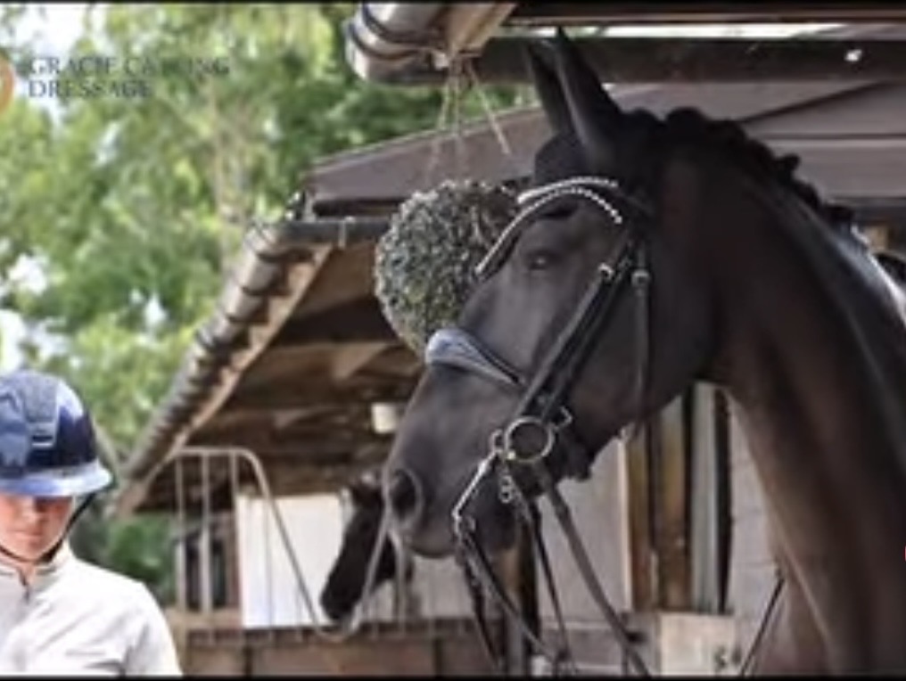Gracie Catling Dressage