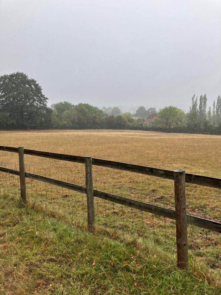 Grazing for Rent – Frome