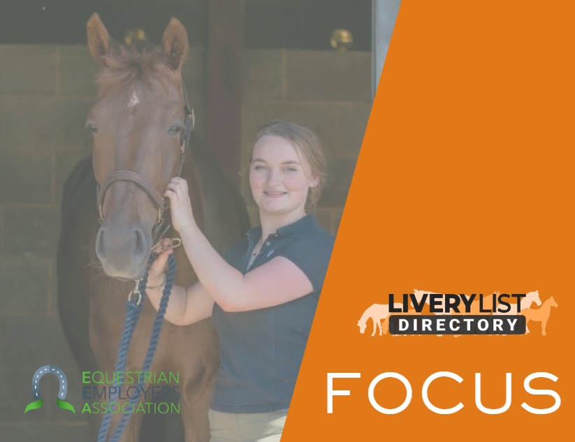 Recruiting and Managing Staff: What Livery Yard Owners Need to Know