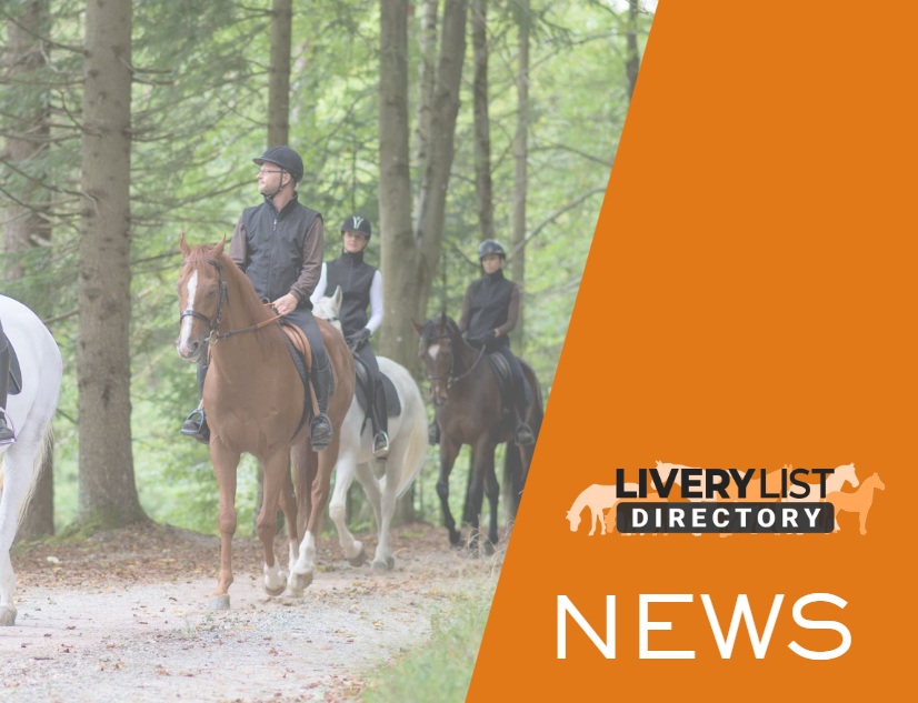 Could an Overnight Visitor Levy Affect Horse Holidays and Equestrian Tourism Businesses?