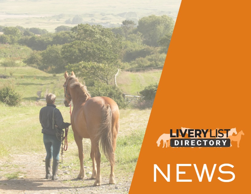 Equestrian Employers Share the Reality of Rising Employment Costs