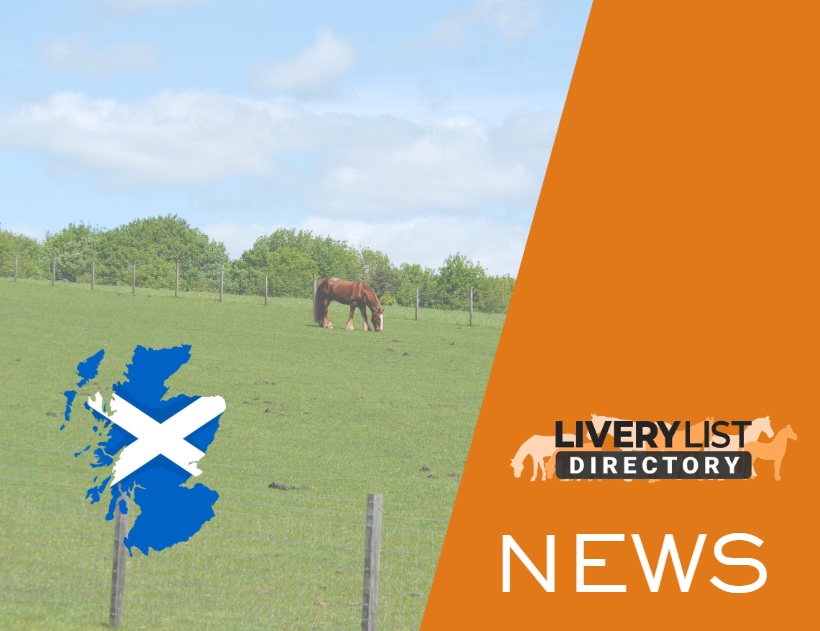 New Equine Welfare Guidance Published for Scotland