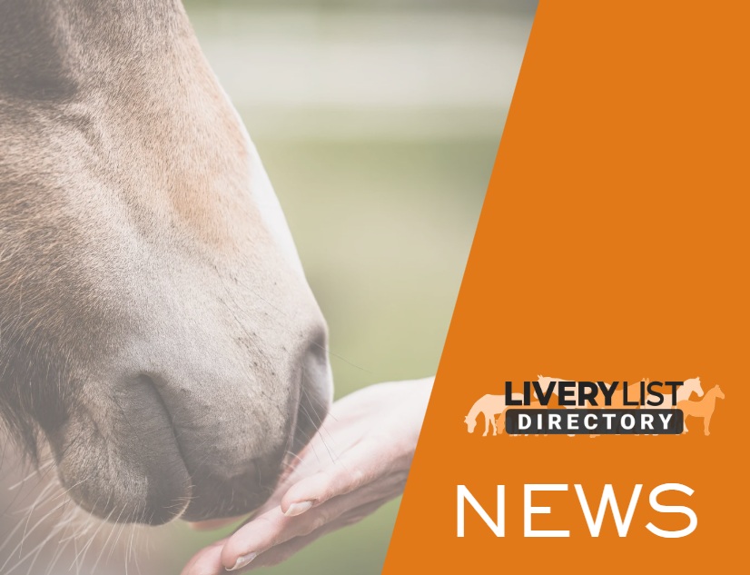 Hartpury University, RDA and HorseBack UK Unite to Advance Equine Assisted Services