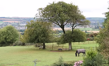 Hitchmough’s Equestrian Centre – Ireland