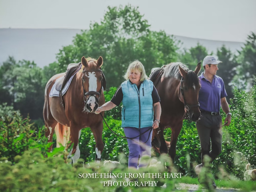 Bow House Farm Equestrian