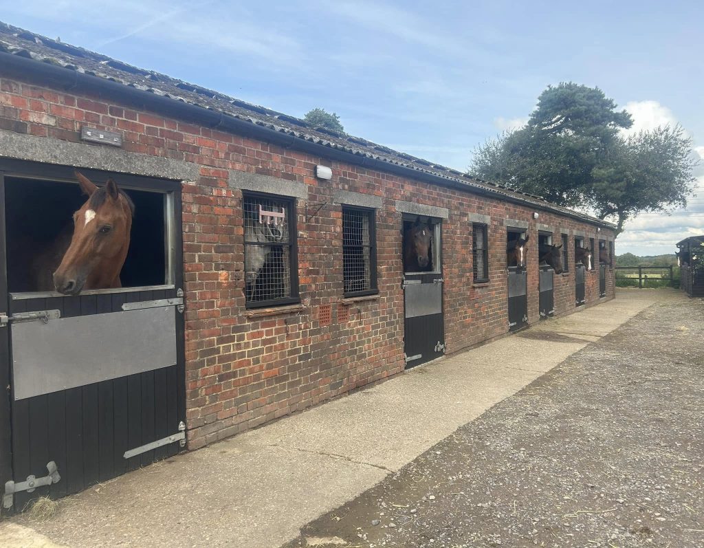 Cheeks Farm Competition and Livery Yard