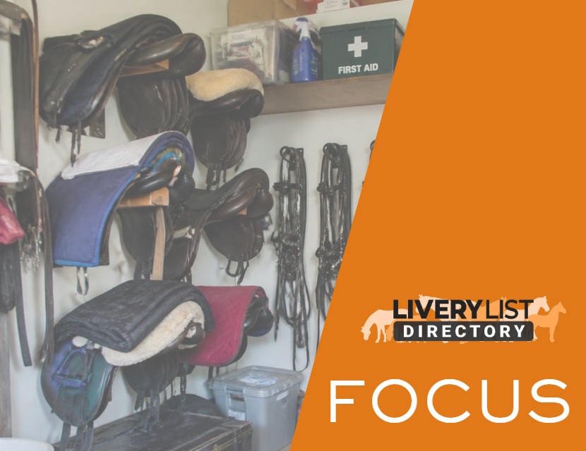 Why Every Equestrian Yard Needs More Than a Basic First Aid Kit