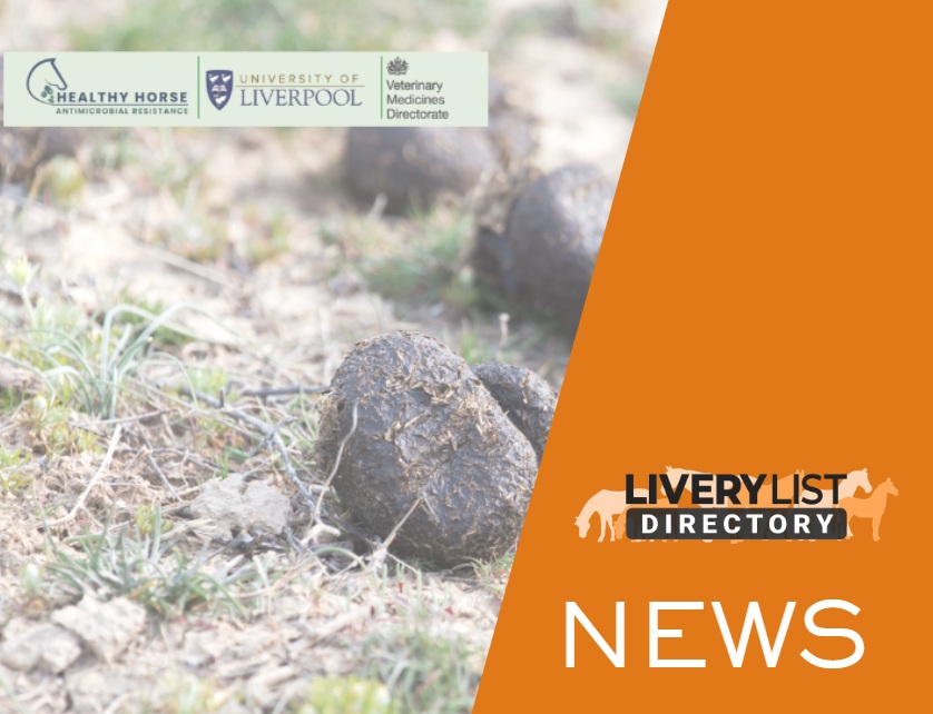 Horse Owners Needed to Help Research Antimicrobial Resistance