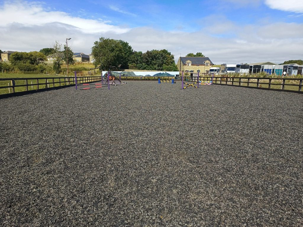 Elm Court Equestrian