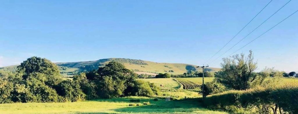 New Barn Farm