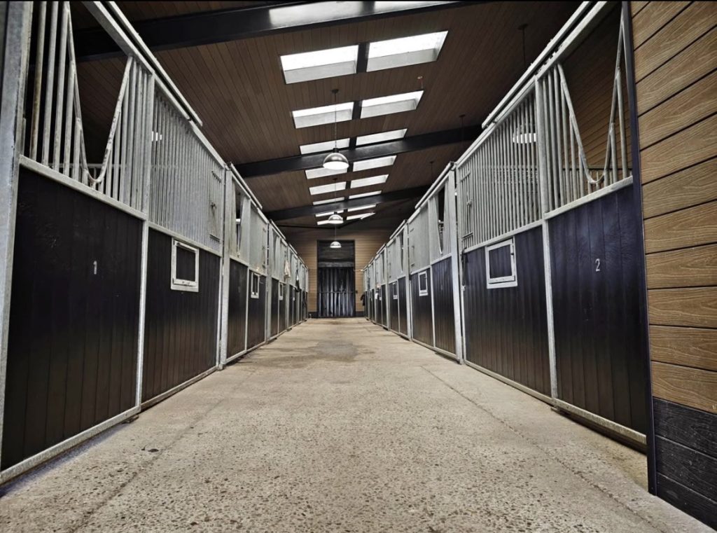 Newton Hall Equestrian
