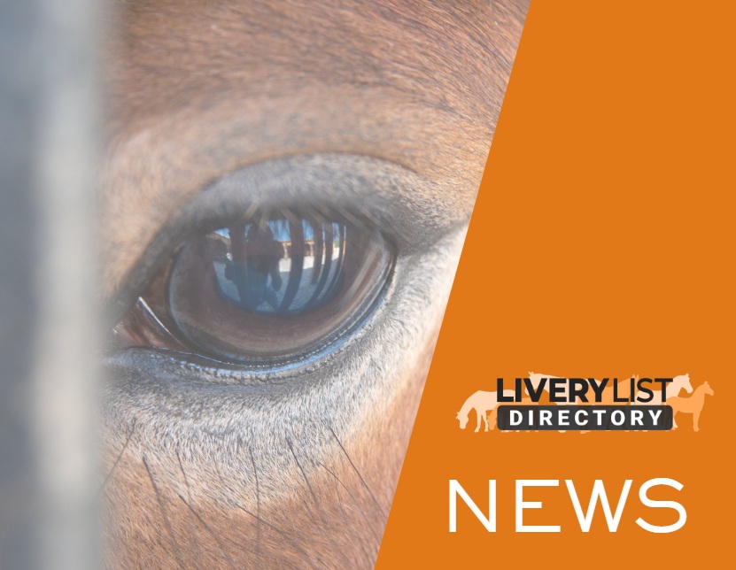 New BEVA Toolkit Helps Support Equine Welfare During Confinement