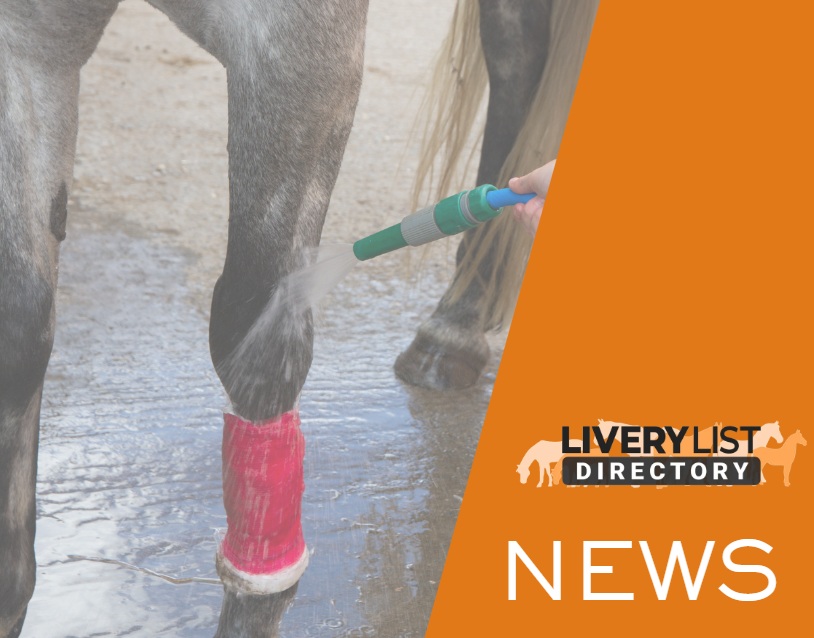 BHS Launches WoundWise to Help Better Understand and Manage Equine Wounds