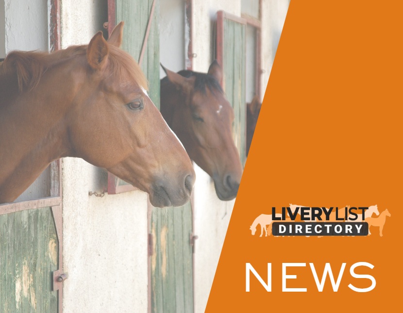 Research Highlights More Needs to Be Done to Improve Equine Welfare