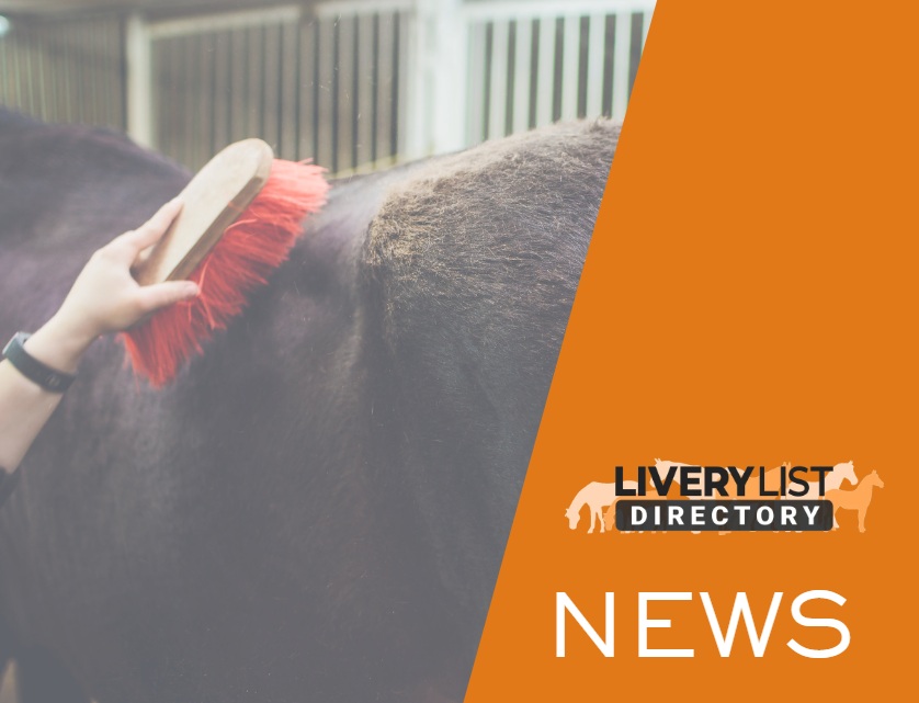 Have Your Say: Help Shape the Future of the Equestrian Workforce