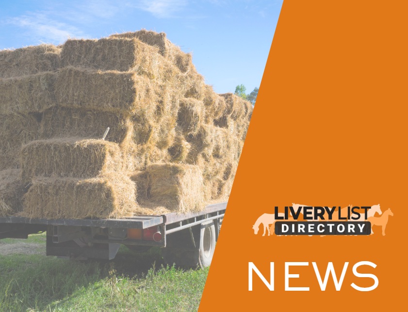 Horse Owners and Livery Yards Warned as Scams Exploit Hay and Haylage Shortages