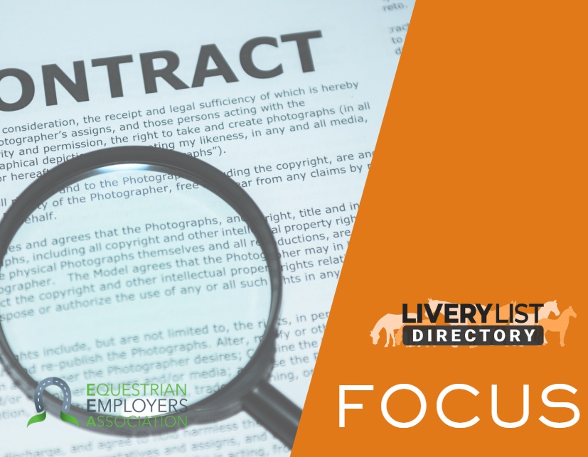 Employment Contracts: Getting the Basics Right