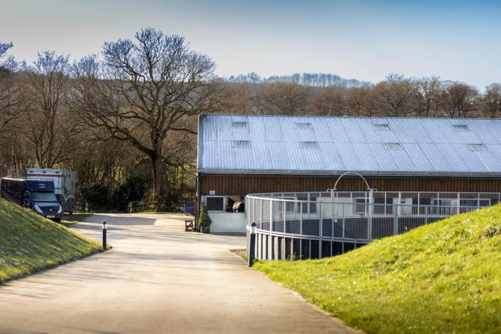 StrideOut Equestrian **RARE SPACE AVAILABLE – EARLY NOV ’26**
