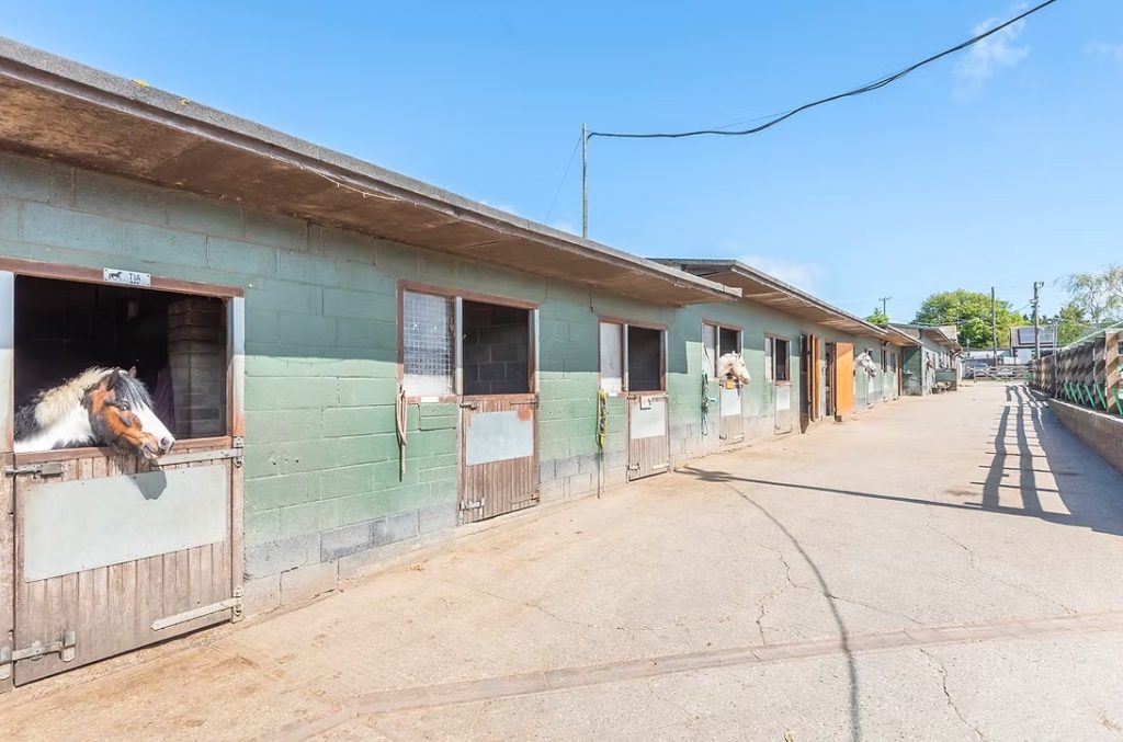 Nelson Park Riding Centre LTD
